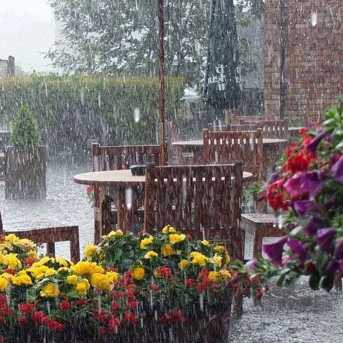 Musim Hujan di Indonesia Terjadi pada Bulan Apa? Panduan Lengkap dan Penjelasan Ilmiahnya