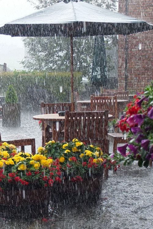 Musim Hujan di Indonesia Terjadi pada Bulan Apa? Panduan Lengkap dan Penjelasan Ilmiahnya