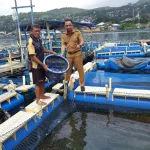 Contoh Sistem Terbuka: Pengertian, Ciri, dan Penerapannya dalam Kehidupan Sehari-hari