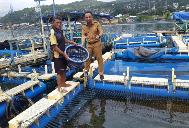 Contoh Sistem Terbuka: Pengertian, Ciri, dan Penerapannya dalam Kehidupan Sehari-hari