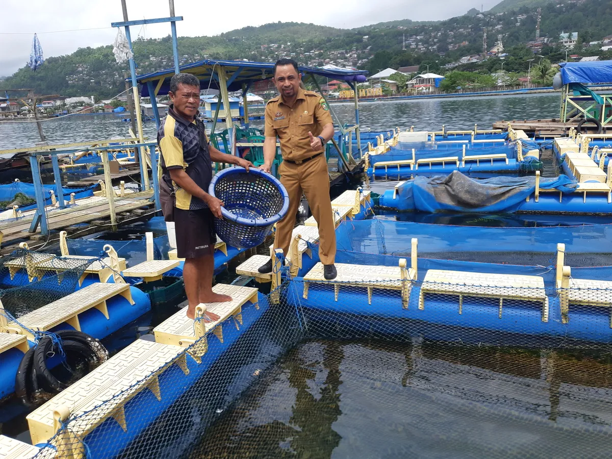 Contoh Sistem Terbuka: Pengertian, Ciri, dan Penerapannya dalam Kehidupan Sehari-hari