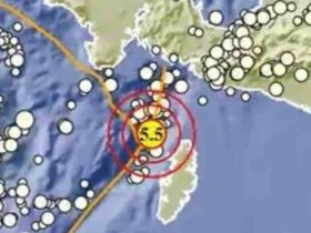 Gempa Magnitudo 4,3 Guncang Timur Laut Maluku Barat Daya, Tidak Berpotensi Tsunami