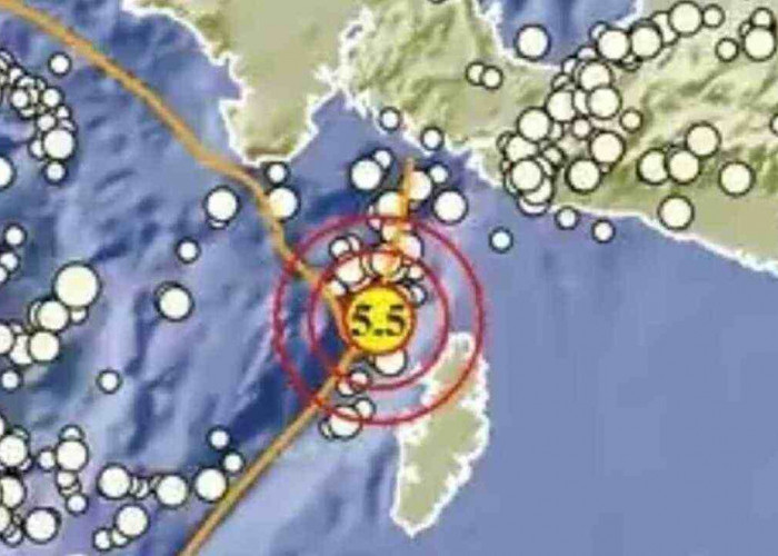 Gempa Magnitudo 4,3 Guncang Timur Laut Maluku Barat Daya, Tidak Berpotensi Tsunami