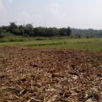 Gambar Horizon Tanah dan Penjelasan Lengkap tentang Lapisan Tanah