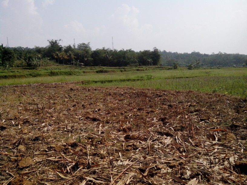 Gambar Horizon Tanah dan Penjelasan Lengkap tentang Lapisan Tanah