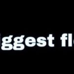 Biggest Flex Artinya dan Cara Menggunakannya dalam Kehidupan Sehari-Hari